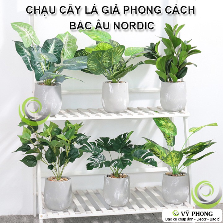 CHẬU CÂY LÁ XI MĂNG CÂY LÁ GIẢ NORDIC TRANG TRÍ NHÀ CỦA ĐẠO CỤ CHỤP ẢNH SẢN PHẨM INS HOA-62