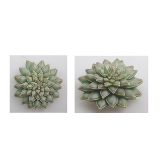 Khuôn silicone xương rồng sen đá phật bà 1 mảnh