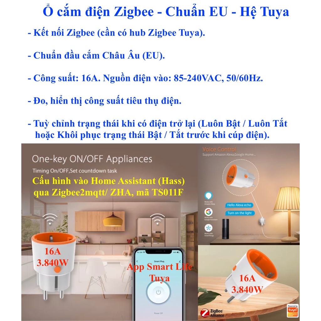 Ổ cắm thông minh Zigbee, Hệ sinh thái Tuya/ Smart Life/ Home Assistant