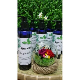 Dầu gội thảo dược Ngọc Châu