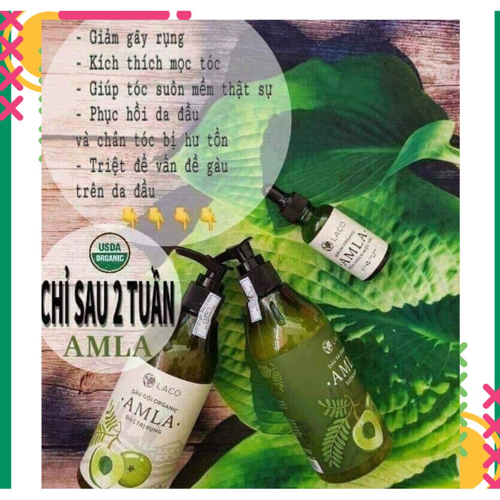Bộ sản phẩm chăm sóc tóc Amla | BigBuy360 - bigbuy360.vn