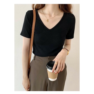Áo thun tăm cổ tim t-shirt vnxk fredy a627