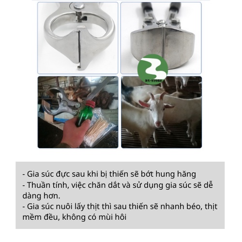 Kìm Thiến Bò Dương ninh Hỗ trợ thiến động vật KT31