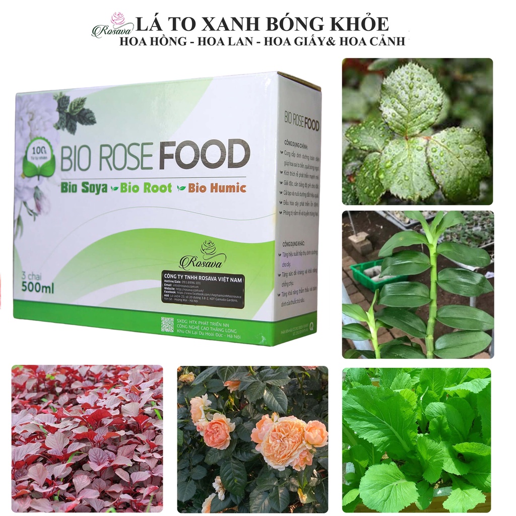 Combo phân bón hữu cơ vi sinh Rosava cho hoa hồng, cây cảnh, hoa giấy, lan, sen đá
