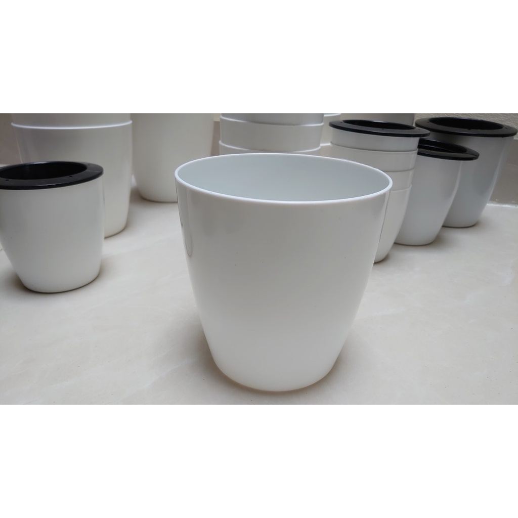 Chậu nhựa trồng cây tự tưới- Chậu cây thuỷ sinh giá rẻ