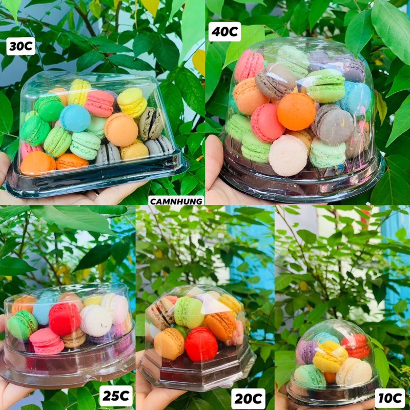 Combo bánh macaron mini