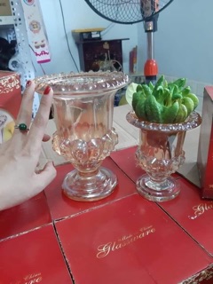 Ly bày phật thủ -