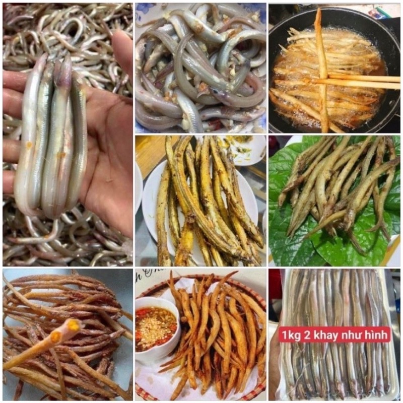 500gr cá sun sịn tươi ngon