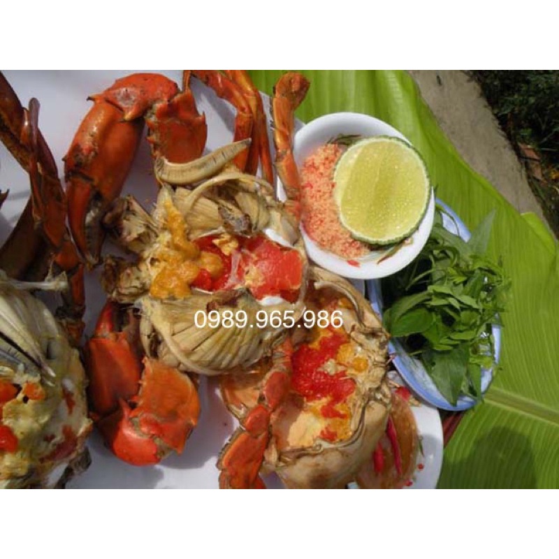 Cua Cà Mau Tươi Sống Đủ Loại