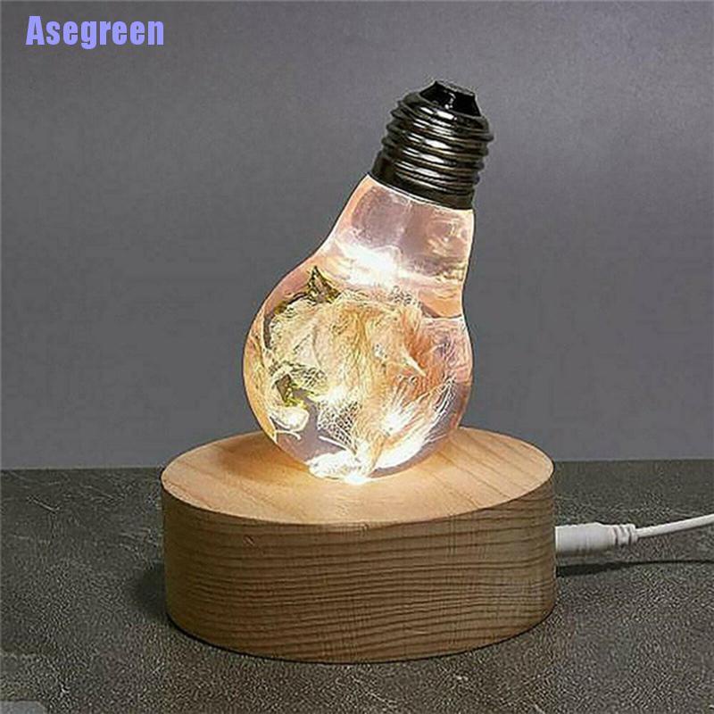 Bộ 16 Khuôn Silicone Cho Đèn Led