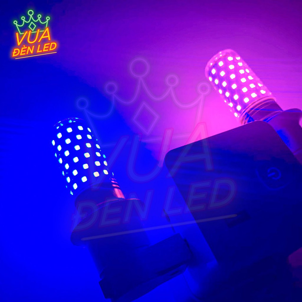 Đèn Led Neon trang trí, Hỗ trợ ánh sáng Quay Video, Chụp Ảnh, Combo đèn + đui cắm trực tiếp , Màu Xanh Dương, Hồng