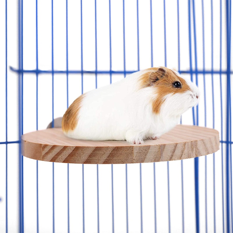 Set 5 Khung Gỗ Hình Chữ L Cho Sóc Chuột Hamster