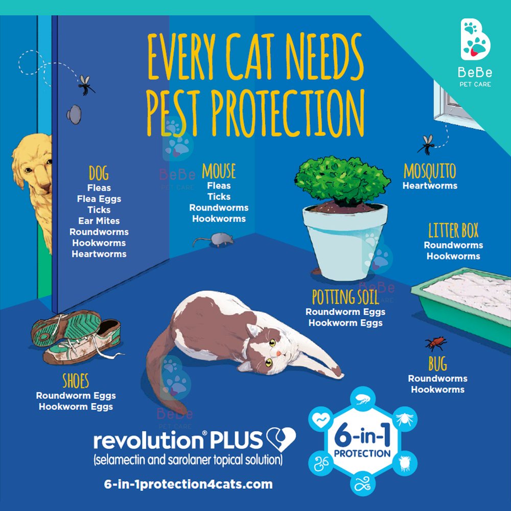 ZOETIS Revolution - Nhỏ Gáy Phòng Ngừa &amp; Loại Trừ Bọ Ve Rận Cho Chó Mèo