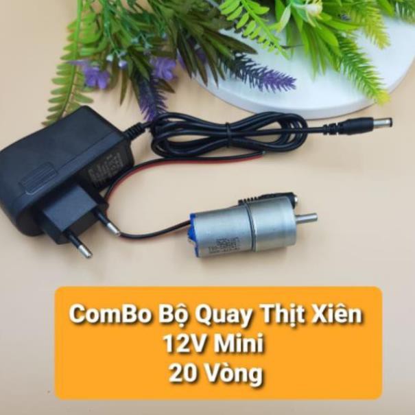 Động Cơ Quay Thịt Xiên MiNi 12V 20 Vòng