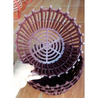 10 Chậu trồng lan rộng 20cm x10cm