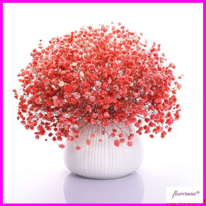 Hoa khô, bình hoa baby cắm sẵn nhiều mẫu trang trí nhà cửa, quán cà phê, nhà hàng cực xinh Flowermini BB-01