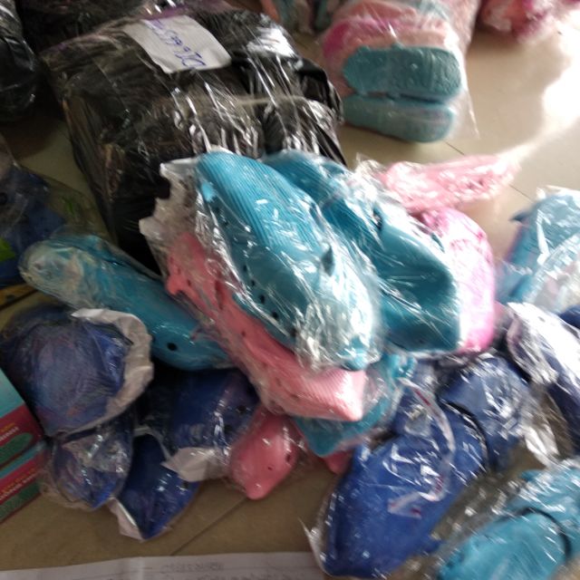 Combo 18 sục chó và 8 cá heo