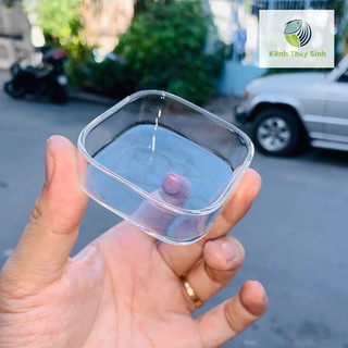 Chén cho tép ăn mini cute siêu dễ thương,kính siêu trong, thẩm mỹ cao