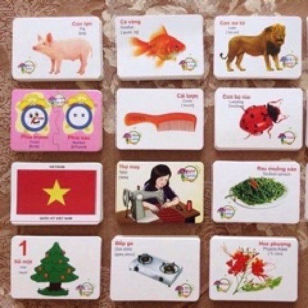 Bộ 416 Thẻ Học Tiếng Anh Thông Minh Flashcard Cho Bé, Thẻ 16 Chủ Đề Song Ngữ Anh-Việt Theo Phương Pháp Glenn Doman