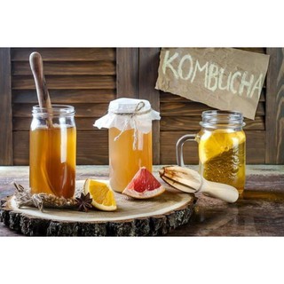 Combo Scoby + Nước mồi làm Trà Kombucha