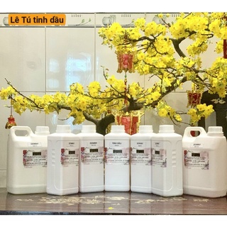 Tinh Dầu Xịt Thơm Quần áo đủ mùi ( Lê Tú) dành cho Giặt ủi