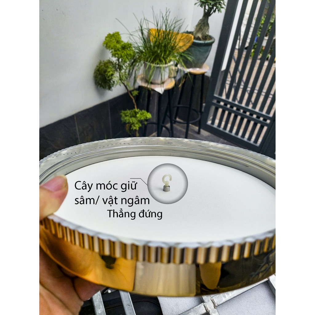 Bình thủy tinh Ngâm rượu 3L HÀN QUỐC YongCheon hình Trụ Cầu dẹt No41. Hàng cao cấp - Phóng to sâm - Bảo vệ sức khỏe. | BigBuy360 - bigbuy360.vn