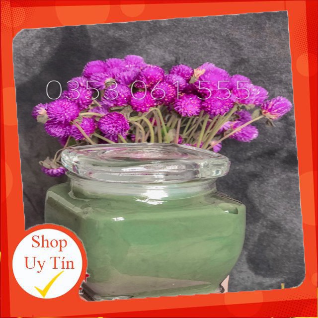 Ủ Phục Hồi Tảo Biển Loại 1 | BigBuy360 - bigbuy360.vn