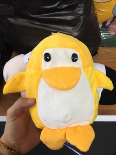 Gấu rẻ đẹp của kun
