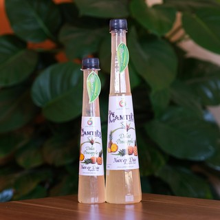 Nước Ép Dứa Nguyên Chất 250ml ✅CỰC NGON✅ Nước Ép Trái Cây Nguyên Chất, tăng đề kháng, đẹp da, chống lão hóa