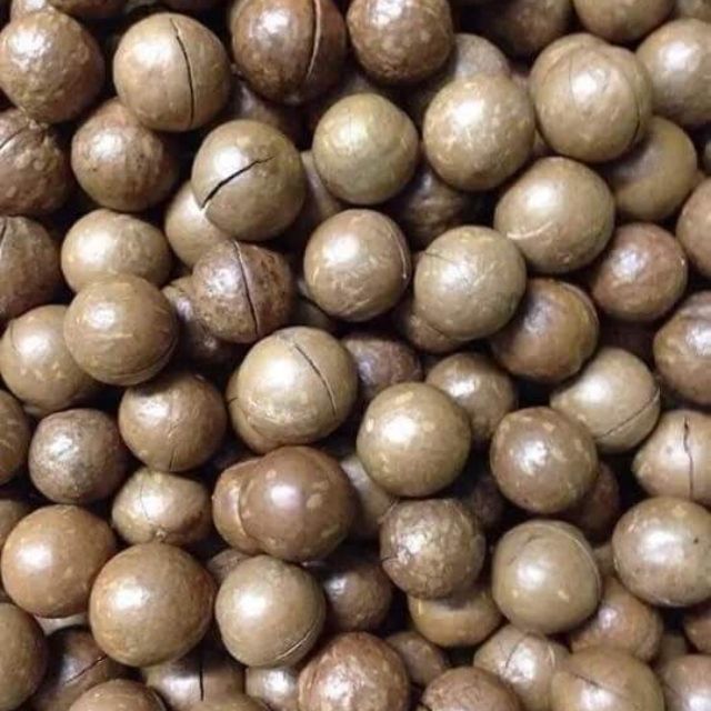 Combo 3kg macca..1kg bể vỏ rang muối