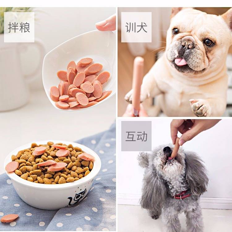 Fair's 40 gốc Ham Xúc xích Pet Food Dog Snack Gold Mao Teddy Dog Xúc xích Dinh dưỡng