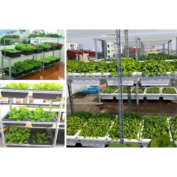 Khung kệ sắt v lỗ trồng rau ,kệ sắt đa năng,kệ sắt trồng rau 3 tầng bậc thang 9 khay