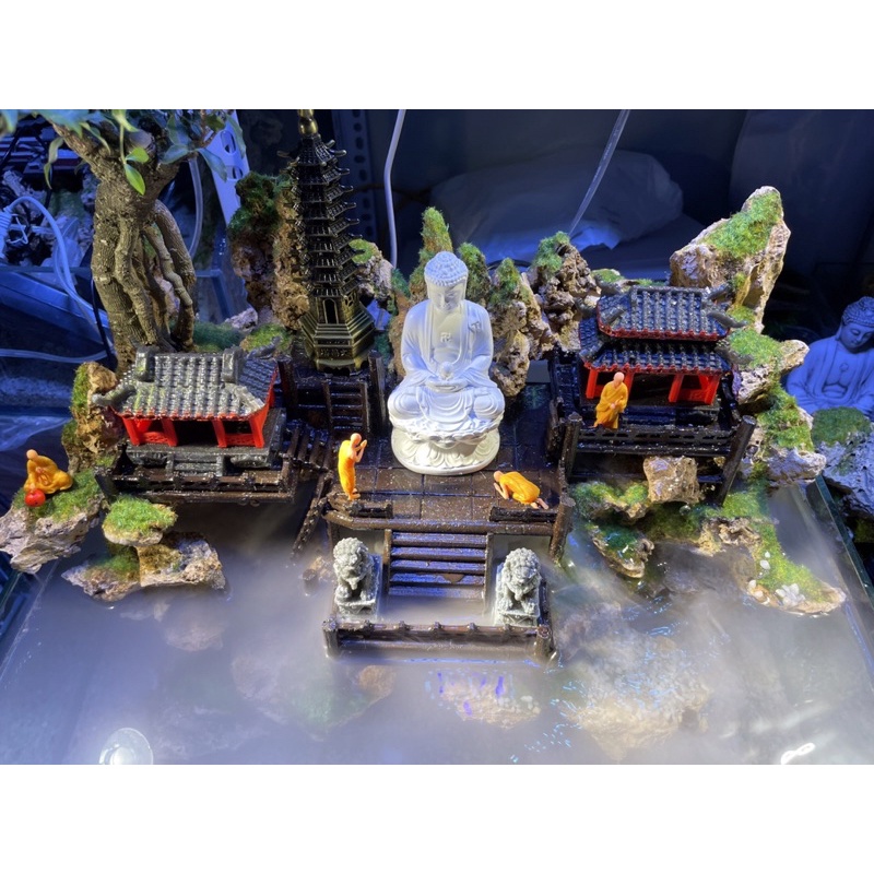 Hồ bán cạn tiểu cảnh mini 40cm phong cách Kelsey Mặt Trời Vàng