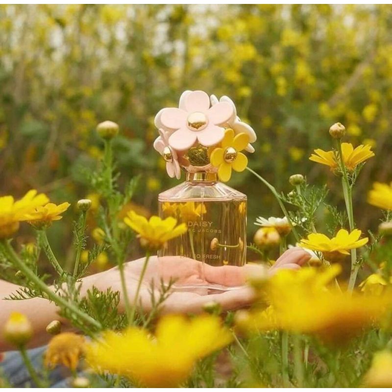 - Nước hoa nữ Marc Jacobs Daisy Eau So Fresh EDT 125ml