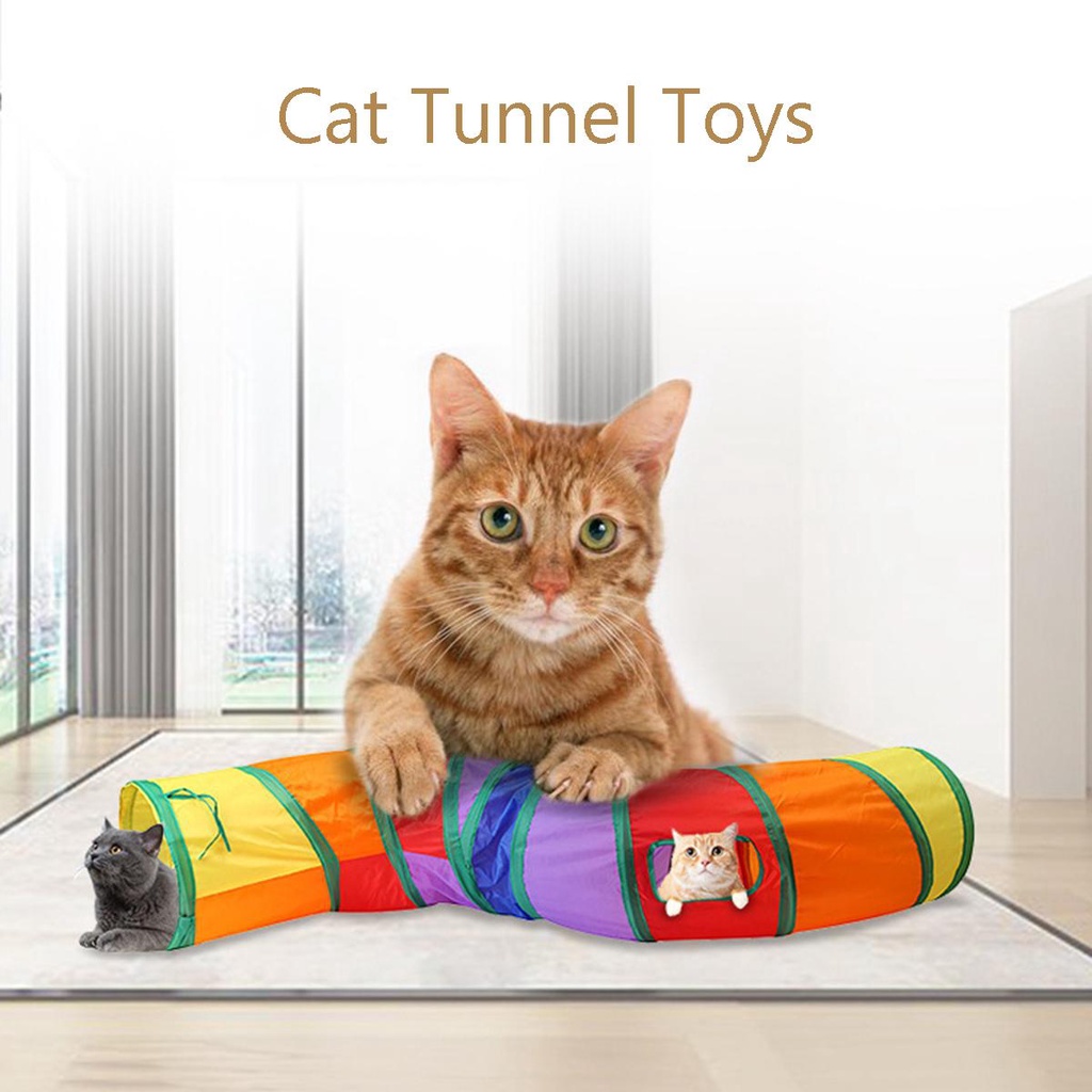 Danilo Lồng Ẩn Có Thể Gấp Lại Tương Tác Với Mèo