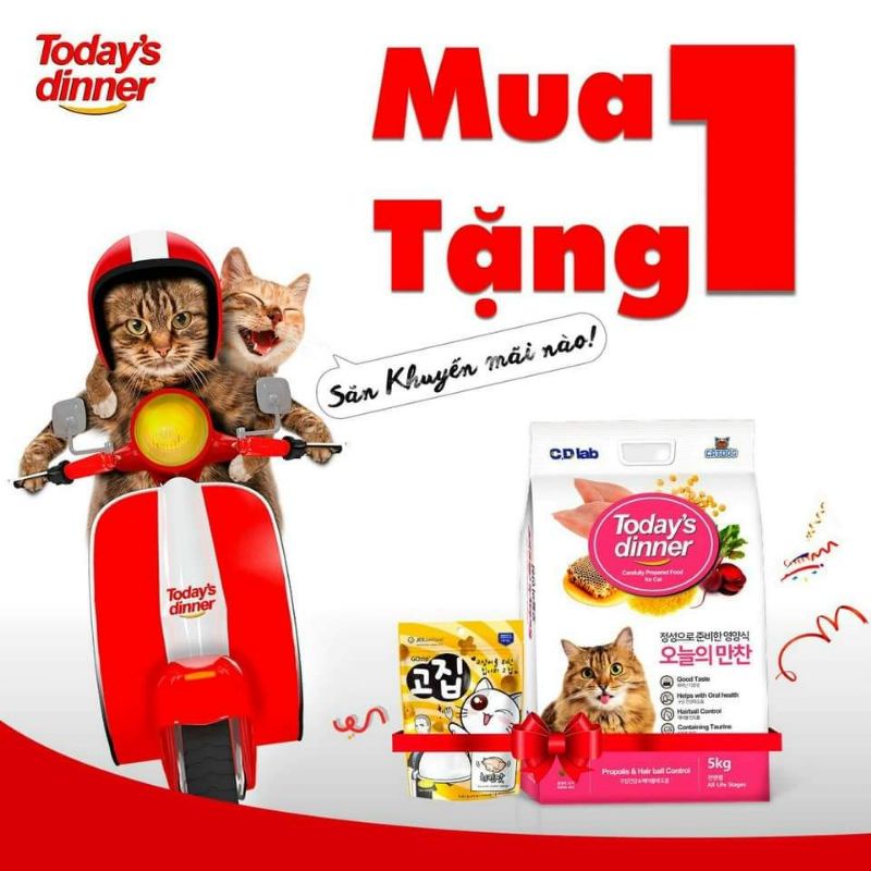 Thức Ăn Hạt Cho Mèo Mọi Lứa Tuổi Today'S Dinner 5Kg Hàn Quốc