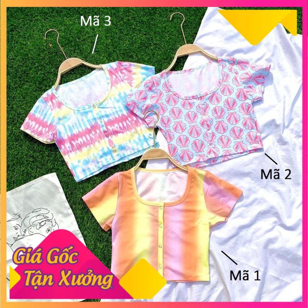 ÁO CROPTOP DẠ QUANG CO DÃN NĂNG ĐỘNG KIỂU HÀN QUỐC DÁNG ĐẸP GIÁ RẺ DỄ PHỐI ĐỒ CT02