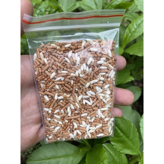 Bẫy Chuột Nắp Xô Sơn [kèm mồi bẫy siêu nhạy + Băng dính 2 mặt]