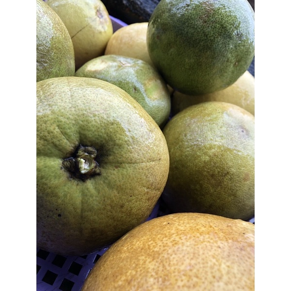 Xịt tóc tinh chất bưởi 55k