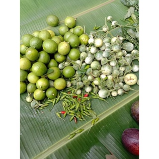 Cà Đắng Tây Nguyên  ( 1kg)