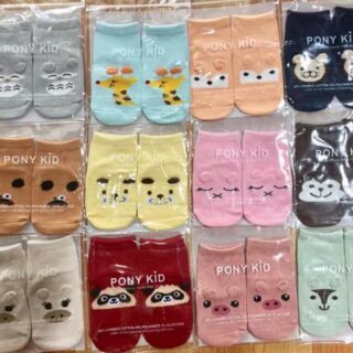 TẤT PONY KIA CỔ CAO