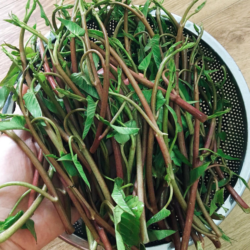 Hạt giống rau muống ngọn tím thái lan siêu ngọn, giòn, ngọt 10gr nhập nguyên gói (Red Kang Kong)