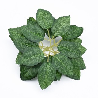 100g lá hoa hồng