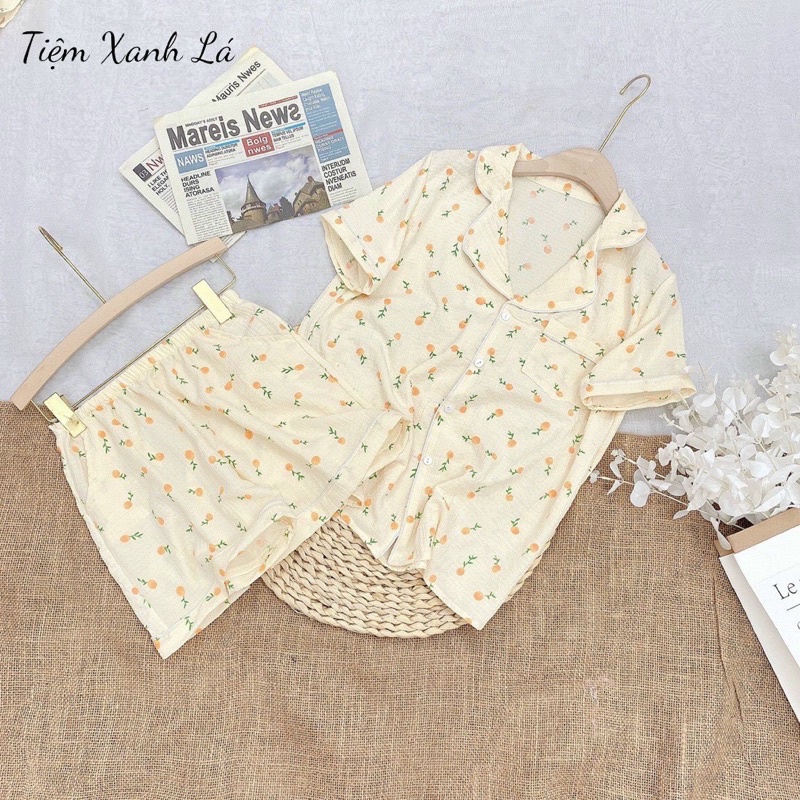 Bộ đồ ngủ Pyjama mặc nhà dễ thương- Bộ ngủ đũi xốp hoạ tiết