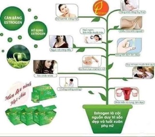 Mầm đậu nành hạt chia