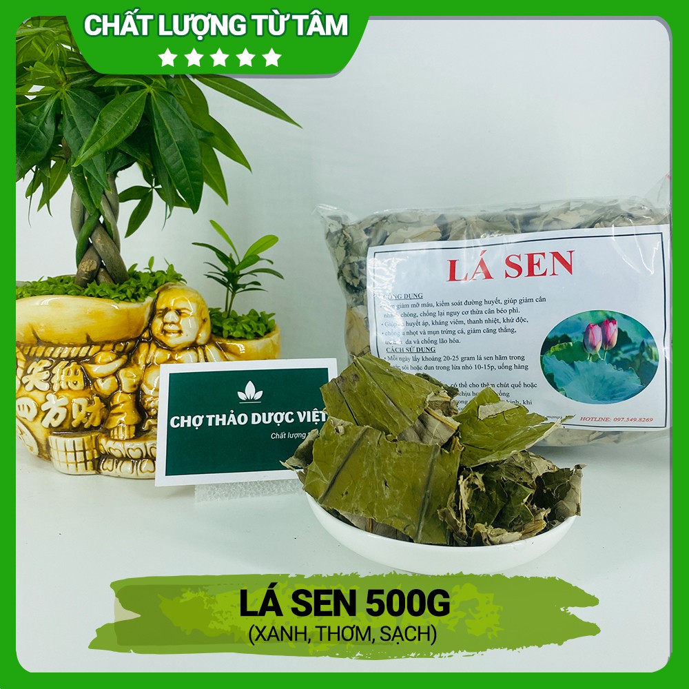 Lá sen khô, thơm 500g ( Trà lá sen tiêu mỡ dành cho người ăn kiêng) - Chợ Thảo Dược Việt