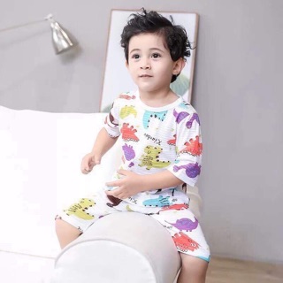 Bộ lửng xuất nhật