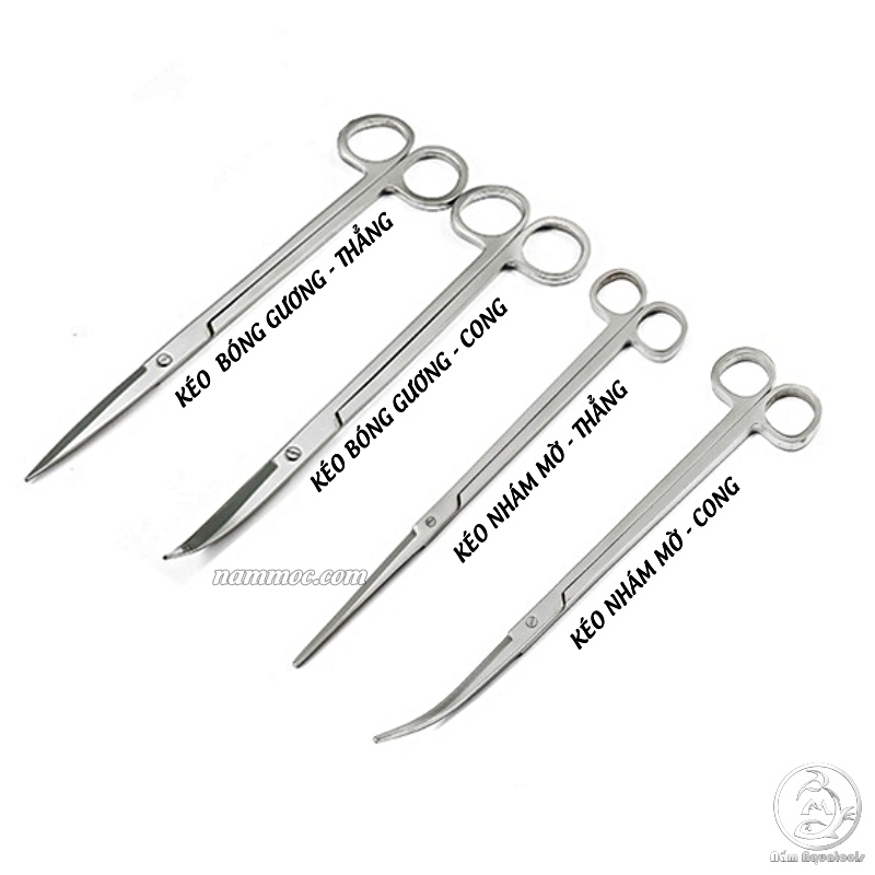 ☘ Kéo Thuỷ Sinh ☘ Kéo Mũi Cong Dài 25cm ☘ Kéo Chuyên Dụng Cho Bể Thuỷ Sinh, Bể Cá Cảnh