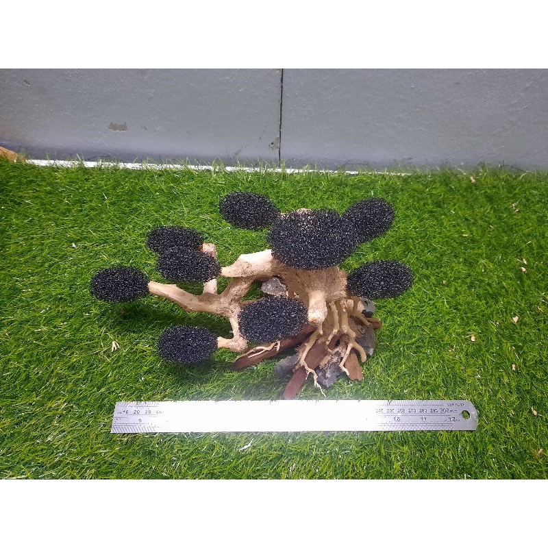 Lũa bonsai xốp cấy rêu Ngan 20, cao 15cm