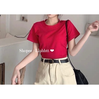Áo thun trơn cotton basic cổ tròn Áo thun trơn form rộng
